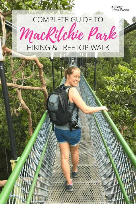 Macritchie reservoir park and treetop walk – Artofit