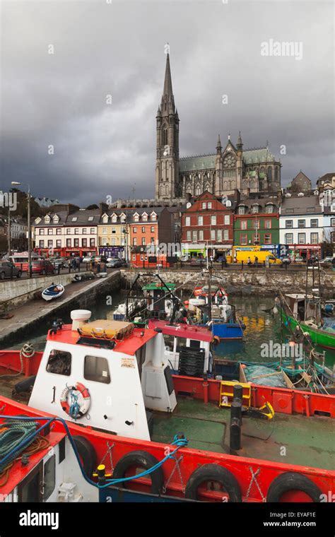 Fishing Boats In The Harbour With St Colman S Cathedral Behind The