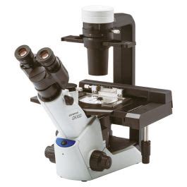 Olympus Ckx Trinocular Inverted Microscope With Integrated Phase Contrast