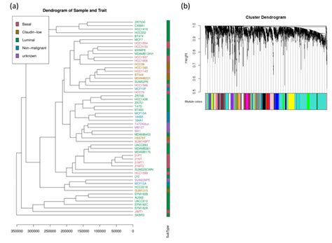 A Clustering Dendrogram Of 56 Breast Cancer Cell Lines And The