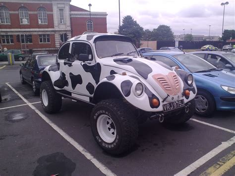 Vw Beetle 4x4 Cow Car Note The Pink Nose On The Front Flickr