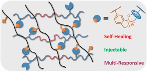 Biomacromolecules X Mol