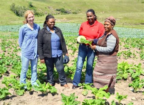 Small Scale Farmer Support Programme Gives Rural Farmers A Second Chance