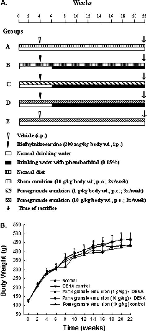 Figure 1 From Pomegranate Mediated Chemoprevention Of Experimental