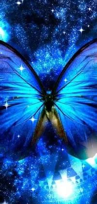 Insect Blue Butterfly Live Wallpaper - free download