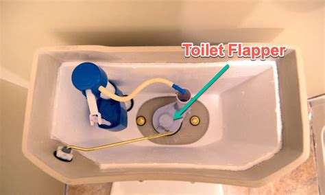 Simple Steps On How To Manually Flush A Toilet Homeimprovise