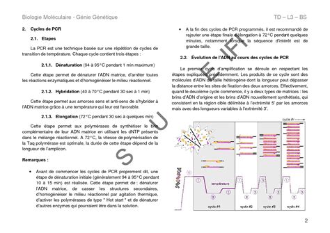 SOLUTION Td Biologie Mol Culaire Et G Nie G N Tique Pcr L3 Studypool