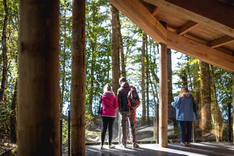 Te Anau: Glowworm Caves Guided Tour | GetYourGuide