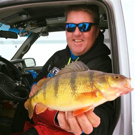 How To Catch JUMBO Perch W Expert Zippy Dahl Virtual Angling