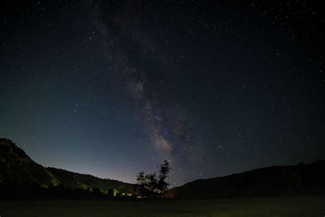 Milky Way Over Sycamore Tree Photograph by Lindsay Thomson - Pixels