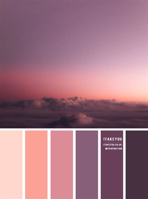 Salmon Pink Color Palette