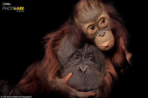 Photographer Joel Sartore Is On A Mission To Capture 12000 Endangered