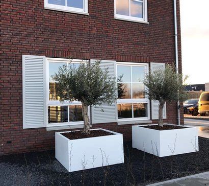 Grote Plantenbak In Je Voortuin Plantenbakkenenzo Nl