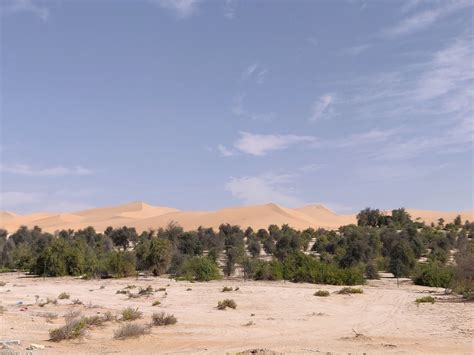 Moreeb Dune and Liwa Oasis: wild camping road trip