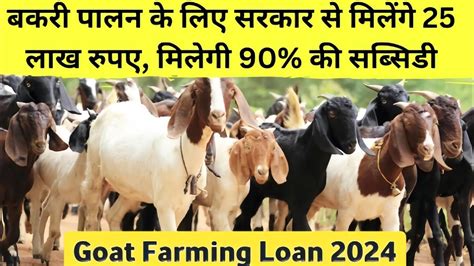 Goat Farming Loan 2024 बकरी पालन के लिए सरकार से मिलेंगे 25 लाख रुपए