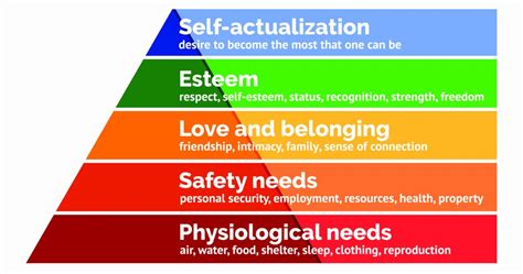 Teori Hierarki Kebutuhan Maslow Ini 5 Pembagian Lengkapnya