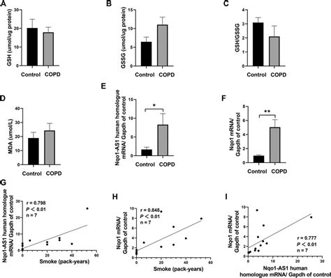 Frontiers Lncrna Nqo1 As1 Attenuates Cigarette Smoke Induced