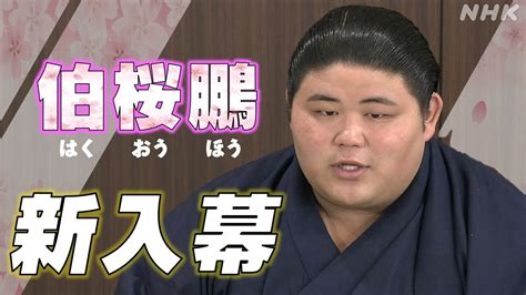 大相撲“伯桜鵬”新入幕の決意 昭和以降最速のスピード出世！ Nhk