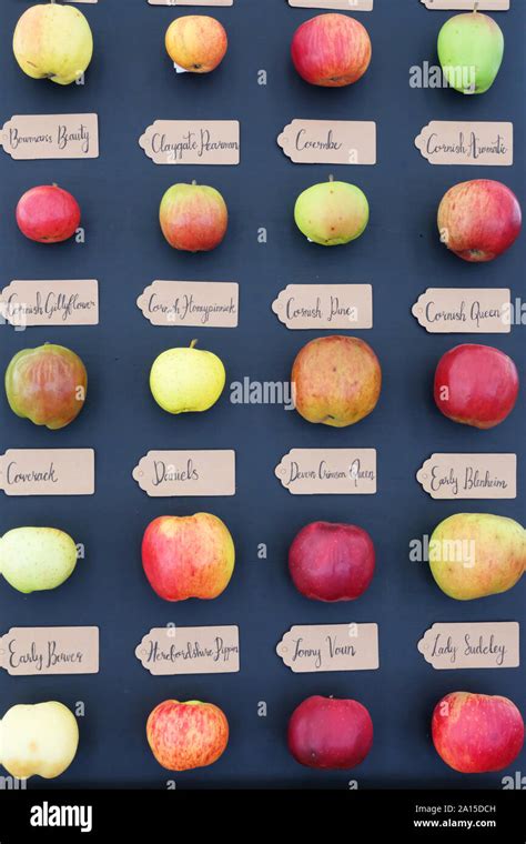 Old english apple varieties hi-res stock photography and images - Alamy