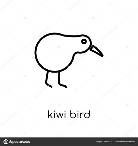 Kiwi Bird Icon Trendy Modern Flat Linear Vector Kiwi Bird Stock Vector