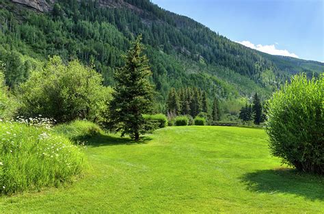 Lush Green Scenic Backdrop Area Photograph By Adventure Photo Fine