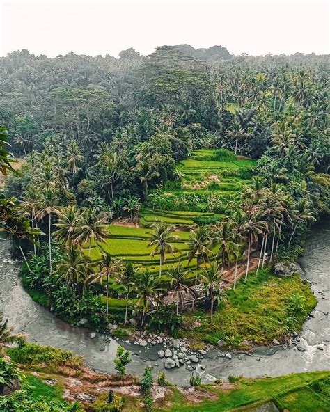 The View Of Kings And Queens Sayan Point Ubud Bali