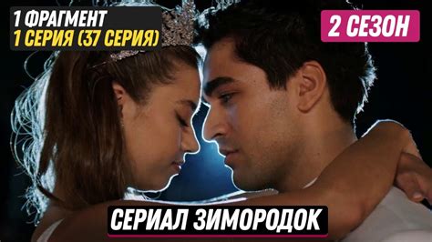 1 ФРАГМЕНТ Турецкий сериал Зимородок 2 сезон 1 серия 37 русская