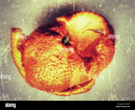 Mandarin orange peel Stock Photo - Alamy