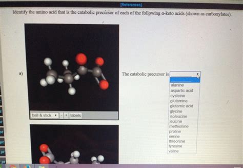 Solved References Identify The Amino Acid That Is The Chegg