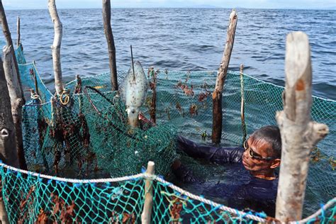 Dynamite Fishing In The Philippines