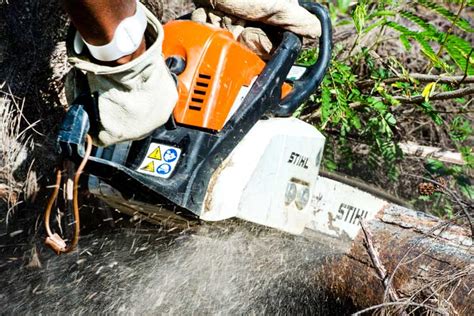 6 Best Top Handle Chainsaw For Arborist 2023 Review