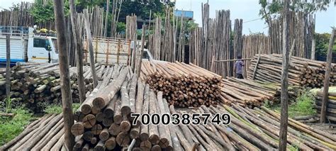 24 Feet Round Green Bamboo Pole For Scaffolding Thickness 10 Inches