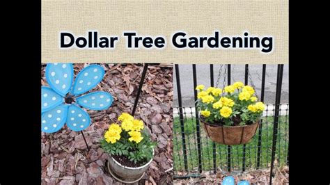 Dollar Tree Gardening My Favorite Products Youtube