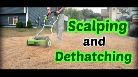 Scalping And Dethatching After Killing The Lawn Lawn Renovation Step