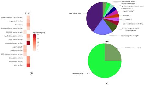 Ijms Free Full Text Global Transcriptome Analysis Of Brown Adipose