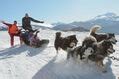 Balade en chiens de traineau OT Saint François Longchamp