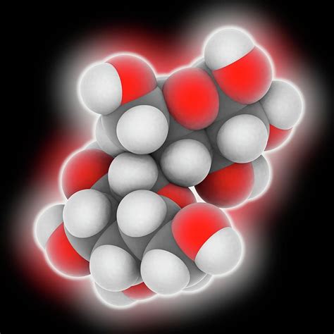 Lactose Molecule By Laguna Design