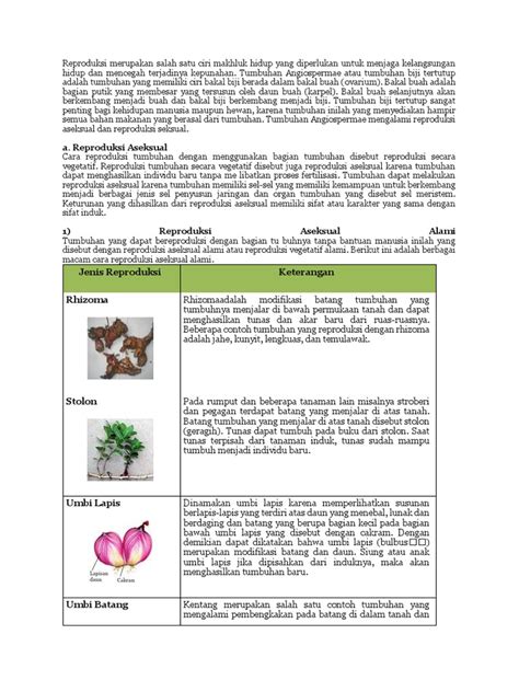 Reproduksi Seksual Dan Aseksual Pada Tumbuhan Pdf