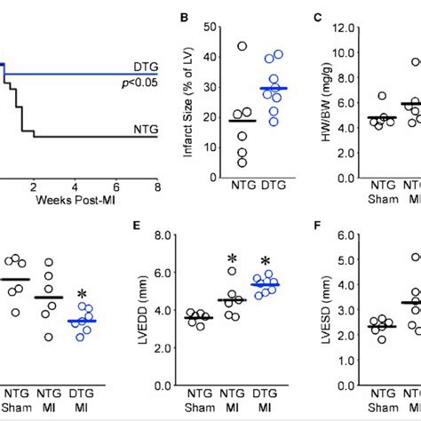 Cardiac Myocyte Specific Overexpression Of Fastkd Fast Kinase