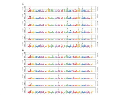 Manhattan Plots For Genome Wide Association Of All Six Models GLM