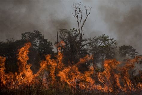 Fogo E Desmatamento As Marcas Do Cen Rio Ambiental Brasileiro Em