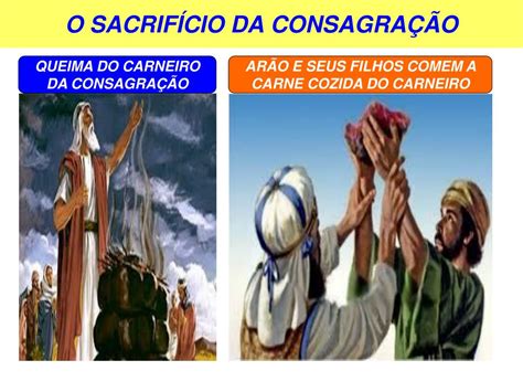 Ppt Li O A Consagra O Dos Sacerdotes Powerpoint Presentation