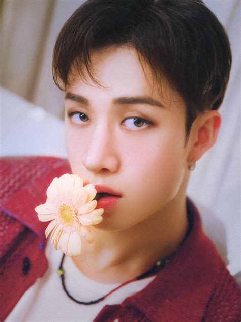 memy stray kids  artofit