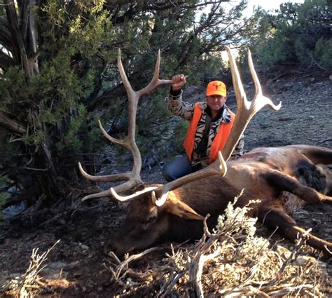 2024 Colorado Archery Elk Season Dates Rhoda Elbertine