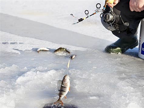 Fishing in Anchorage: The Complete Guide