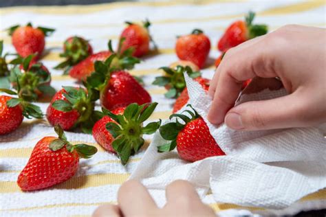 Comment Conserver Des Fraises Voici Mes Techniques Pour Conserver Les