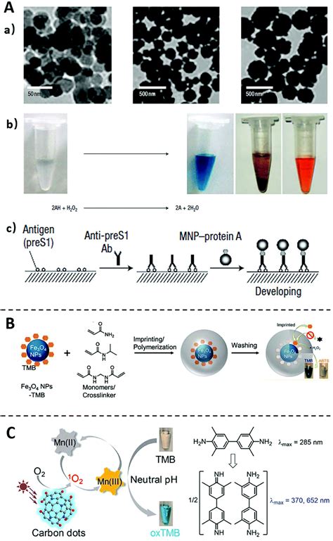 Recent Advances In Nanomaterial Enhanced Enzyme Linked Immunosorbent