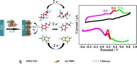 A Novel Electrochemical Sensing Platform For Detection Of Dopamine