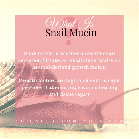 The Benefits Of Snail Mucin In Skin Care. | Science Becomes Her