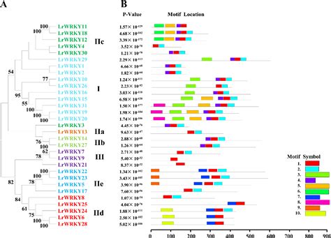 Figure 2 from Characterization of the WRKY Gene Family Related to ...